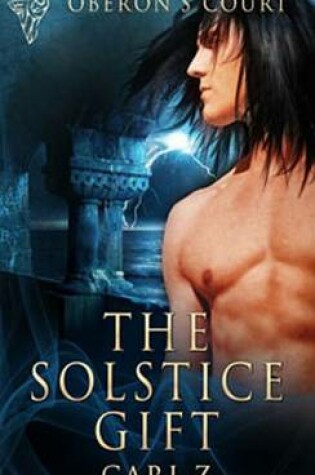 Cover of The Solstice Gift