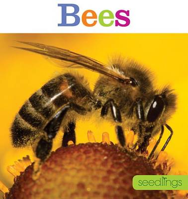Book cover for Seedlings: Bees