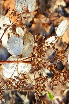 Book cover for Dry Hydrangea Flowers Journal