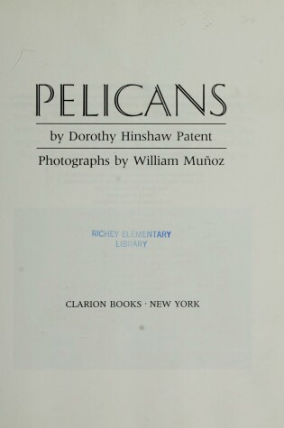 Cover of Pelicans