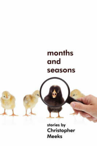 Cover of Months and Seasons