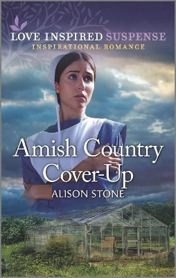 Book cover for Amish Country Cover-Up