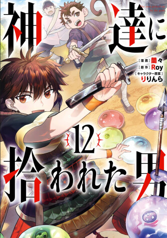 Book cover for By the Grace of the Gods 12 (Manga)