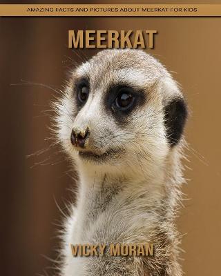 Book cover for Meerkat