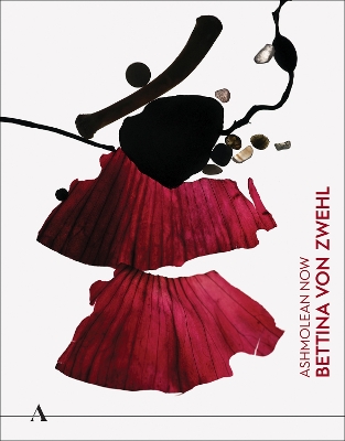 Book cover for Bettina von Zwehl