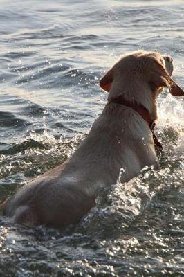 Book cover for Doggy Water Playtime