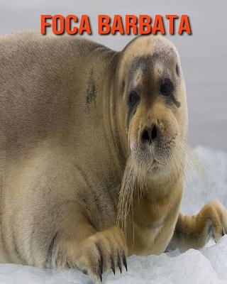 Book cover for Foca barbata