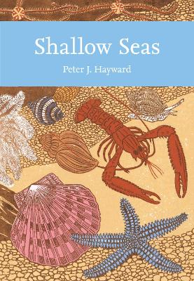 Book cover for Shallow Seas