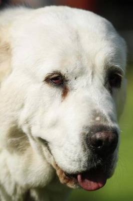 Book cover for The Central Asian Shepherd Dog Journal