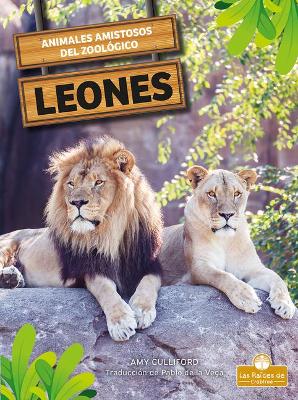 Book cover for Leones (Lions)