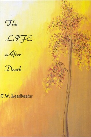 Cover of The Life After Death