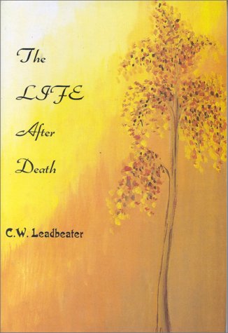 Book cover for The Life After Death