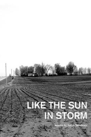 Cover of Like the Sun in Storm