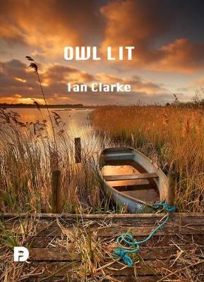 Book cover for Owl Lit