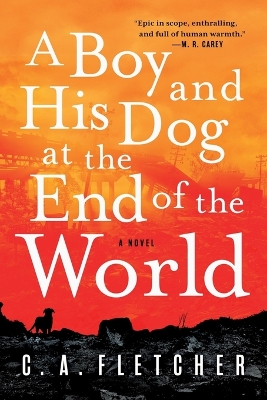 Book cover for A Boy and His Dog at the End of the World