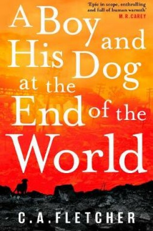 Cover of A Boy and his Dog at the End of the World