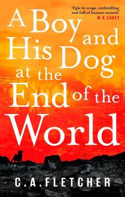 Book cover for A Boy and his Dog at the End of the World