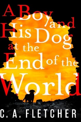 Cover of A Boy and his Dog at the End of the World