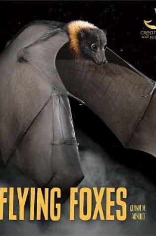 Cover of Flying Foxes