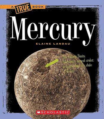 Book cover for Mercury