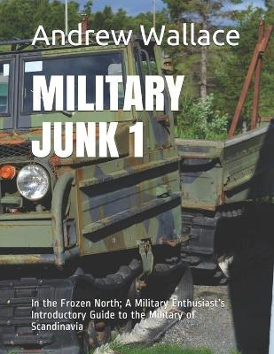 Book cover for Military Junk 1