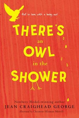 Book cover for There's an Owl in the Shower