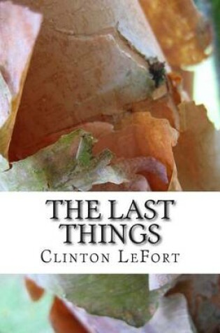 Cover of The Last Things