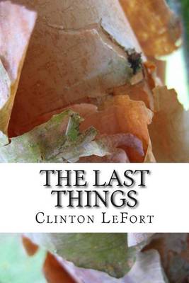 Book cover for The Last Things