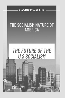 Book cover for The Socialism Nature of America