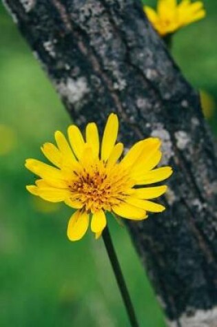 Cover of Bright Yellow Flowers in the Forest Nature Journal