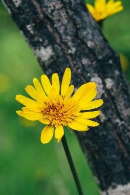 Book cover for Bright Yellow Flowers in the Forest Nature Journal