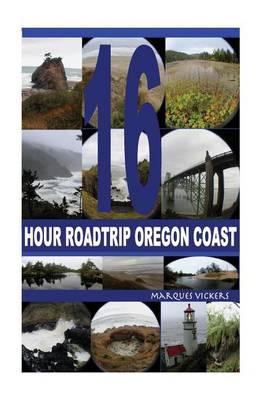 Book cover for 16-Hour Road Trip