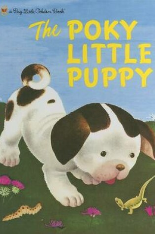 Cover of Poky Little Puppy, the - Glb