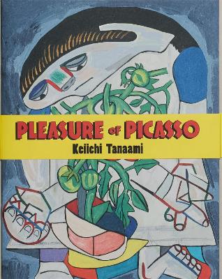Book cover for Pleasure of Picasso