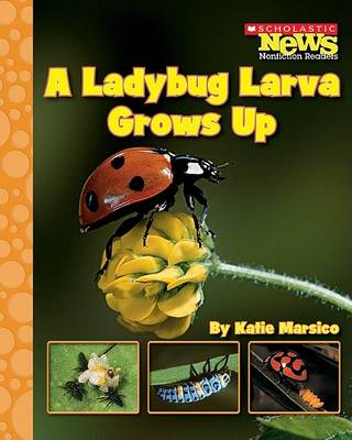 Cover of A Ladybug Larva Grows Up