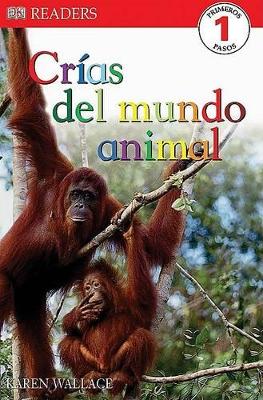 Book cover for DK Readers L1: Crias del Mundo Animal