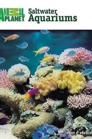Cover of Setup & Care of Saltwater Aquariums