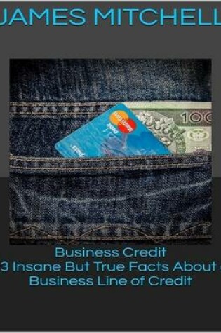 Cover of Business Credit: 13 Insane But True Facts About a Business Line of Credit