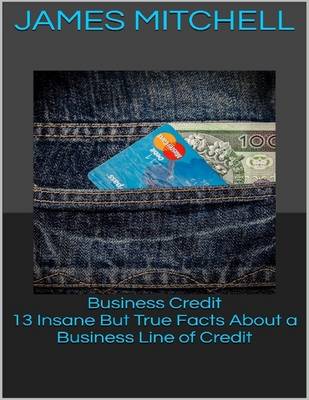 Book cover for Business Credit: 13 Insane But True Facts About a Business Line of Credit