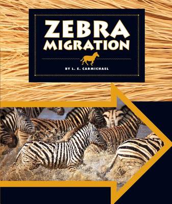 Cover of Zebra Migration