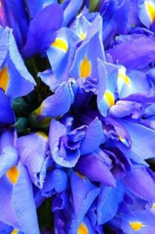 Cover of Royal Blue Iris in the Garden Journal