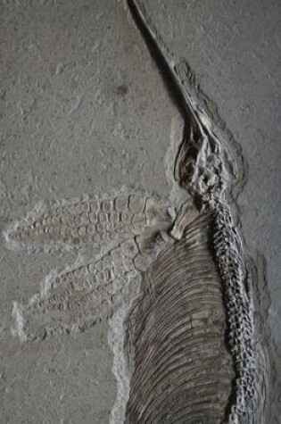 Cover of Ichthyosaurs Fossil, for the Love of Dinosaurs