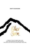 Book cover for Killer Storm