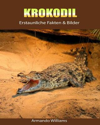 Book cover for Krokodil