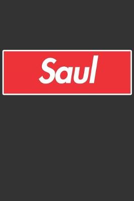 Book cover for Saul