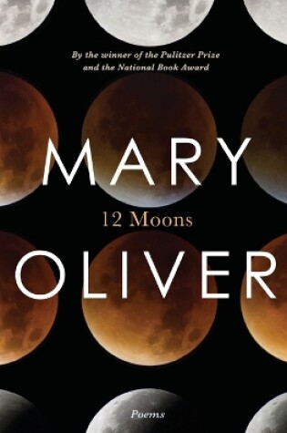 Cover of Twelve Moons