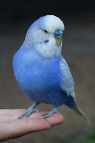 Cover of Totally Adorable Blue Parakeet Pet Bird Journal