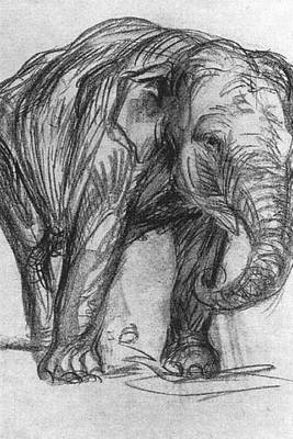 Book cover for Elephant (Franz Marc)