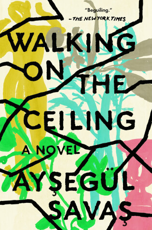 Cover of Walking on the Ceiling