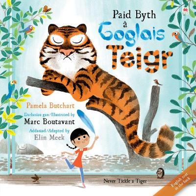 Book cover for Paid Byth â Goglais Teigr/Never Tickle a Tiger